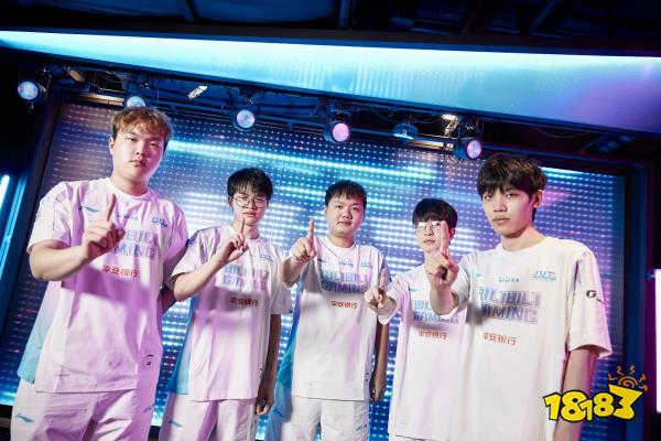 在中国的网 在中国的网